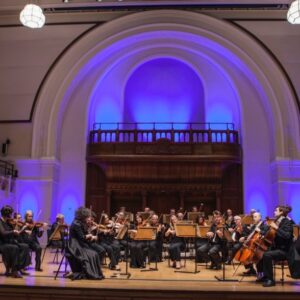 The English Chamber  Orchestra